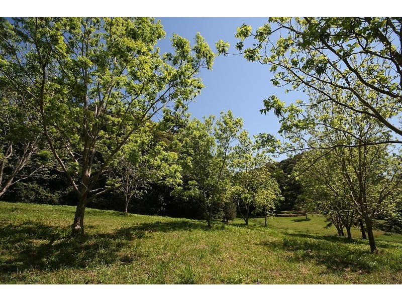 17 TUCKOMBIL LANE, Tuckombil NSW 2477