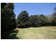 17 TUCKOMBIL LANE, Tuckombil NSW 2477
