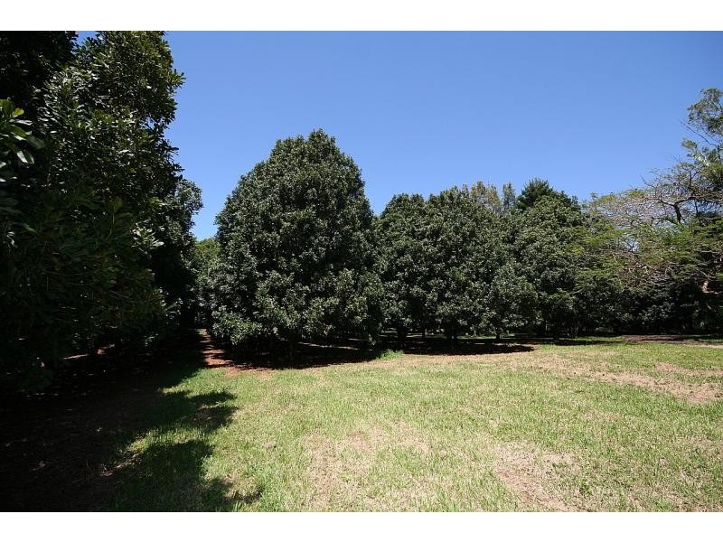 17 TUCKOMBIL LANE, Tuckombil NSW 2477
