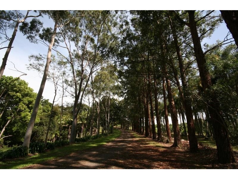 47 EMERSON ROAD, Rosebank NSW 2480