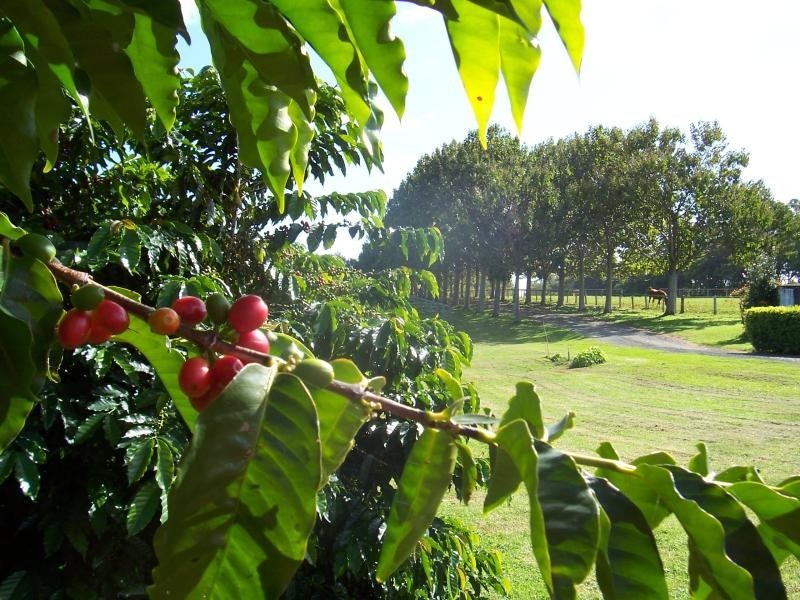 185 COOKS LANE, Alstonville NSW 2477