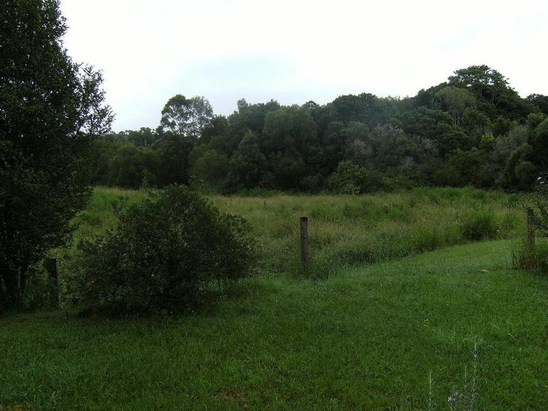 183 TOOHEYS MILL ROAD, Nashua NSW 2479