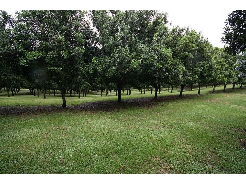 183 COWLONG ROAD, Mcleans Ridges NSW 2480