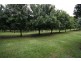 183 COWLONG ROAD, Mcleans Ridges NSW 2480