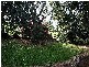 169 BARTLETTS LANE, Meerschaum Vale NSW 2477