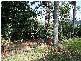 169 BARTLETTS LANE, Meerschaum Vale NSW 2477