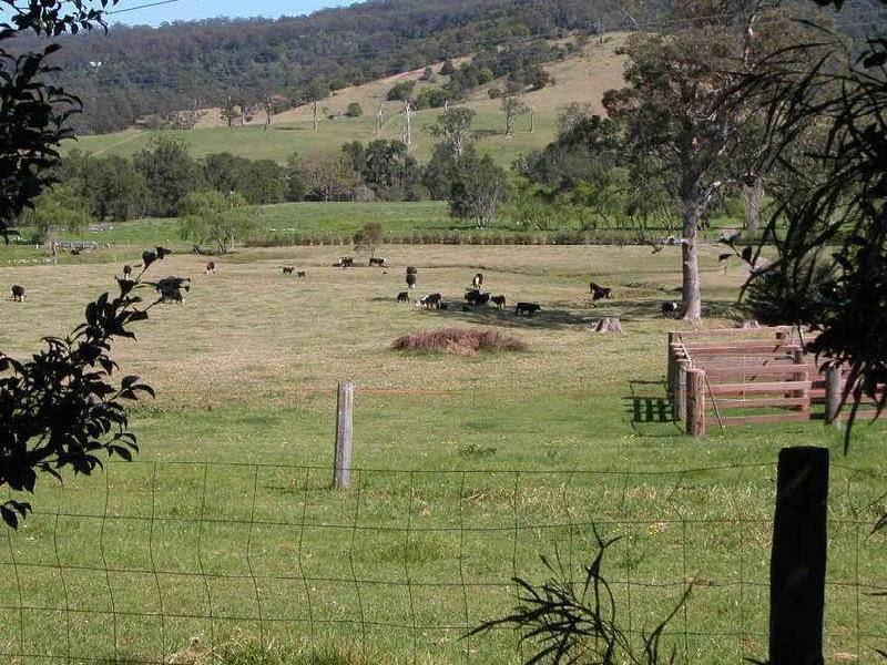 160 FOXGROUND ROAD, Berry NSW 2535