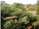 Bomaderry NSW 2541