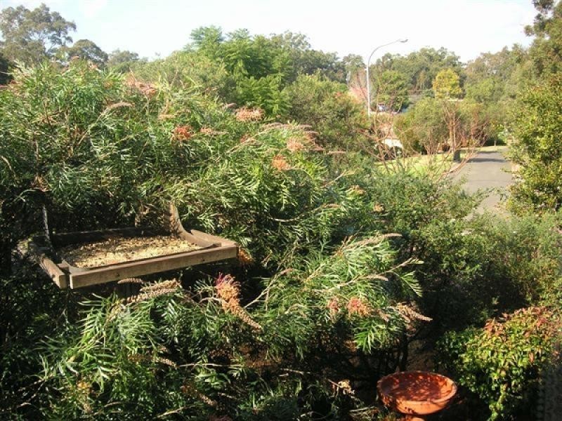 Bomaderry NSW 2541