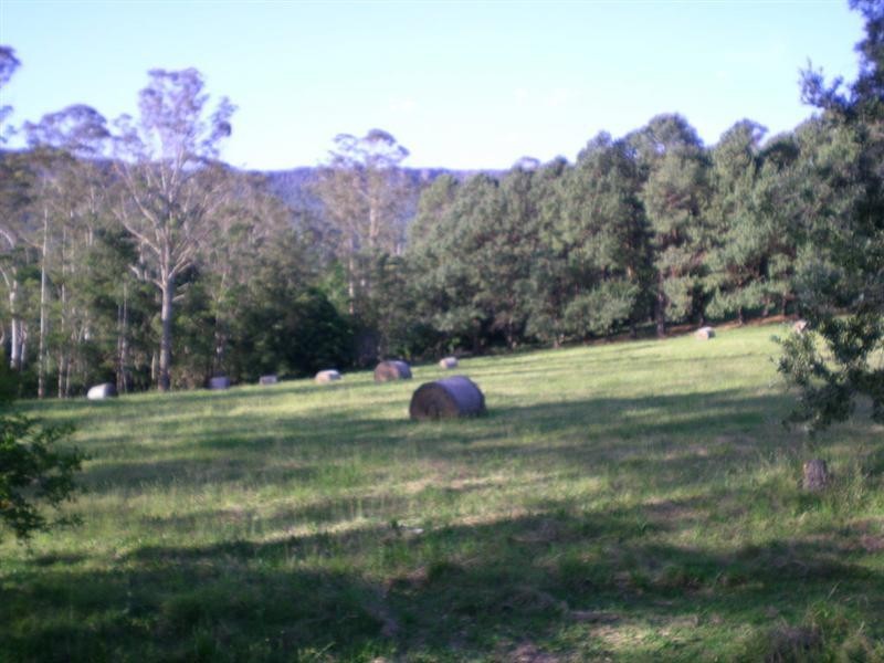 31 Bryan Close, Berry NSW 2535