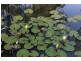 Berry NSW 2535