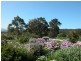 Berry NSW 2535