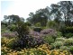 Berry NSW 2535