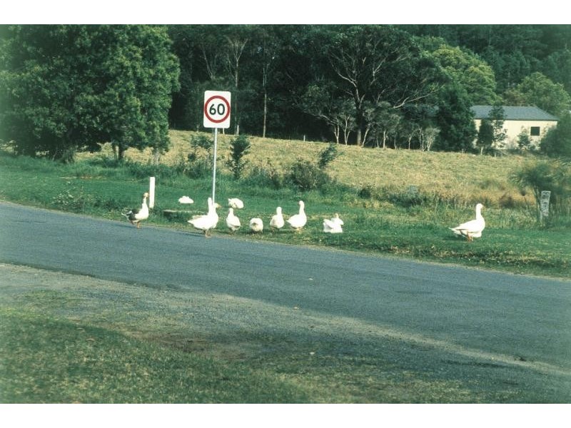 89 QUEEN STREET, Berry NSW 2535