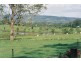 170 Walkers Lane, Kangaroo Valley NSW 2577