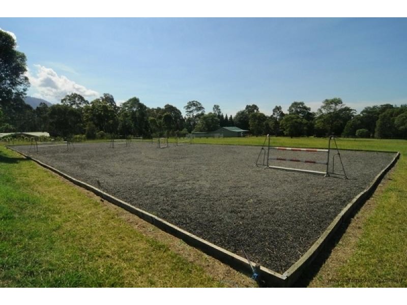540 Illaroo Road, Bangalee NSW 2541