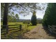 540 Illaroo Road, Bangalee NSW 2541