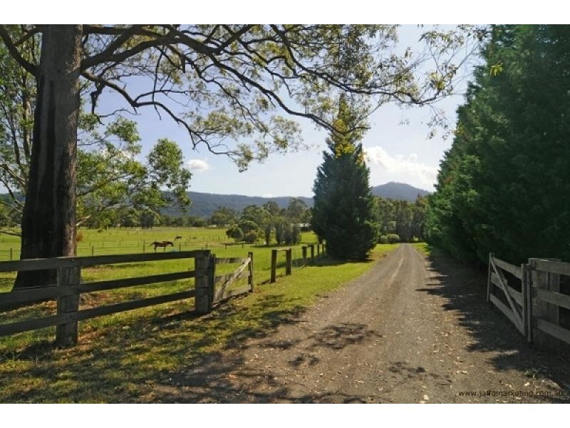 540 Illaroo Road, Bangalee NSW 2541