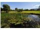 540 Illaroo Road, Bangalee NSW 2541