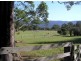 540 Illaroo Road, Bangalee NSW 2541