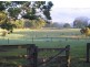 540 Illaroo Road, Bangalee NSW 2541