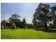 540 Illaroo Road, Bangalee NSW 2541
