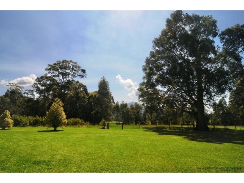 540 Illaroo Road, Bangalee NSW 2541