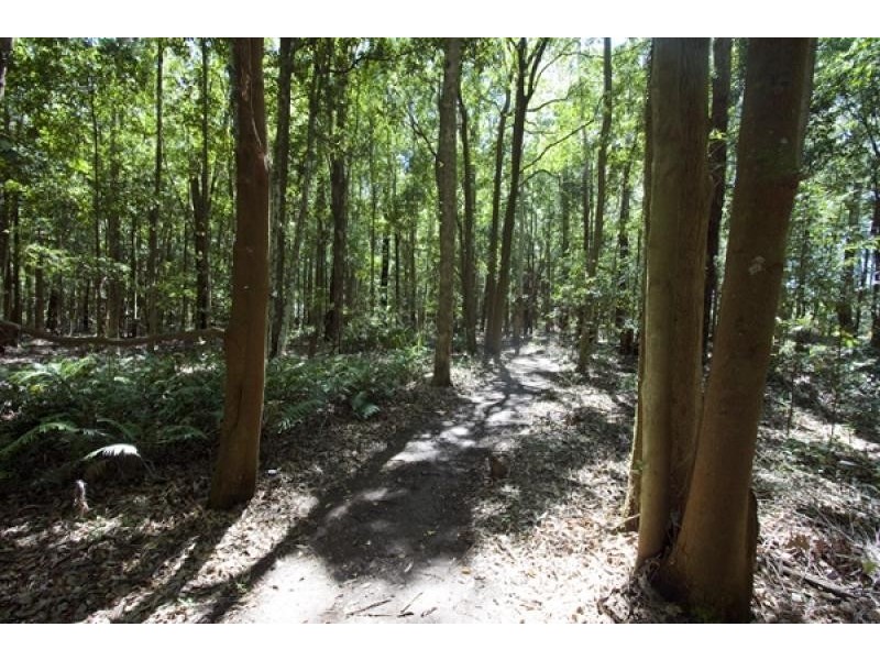 160 Beach Road, Berry NSW 2535