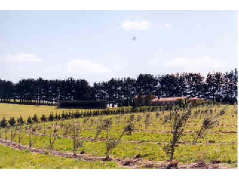 Exeter NSW 2579