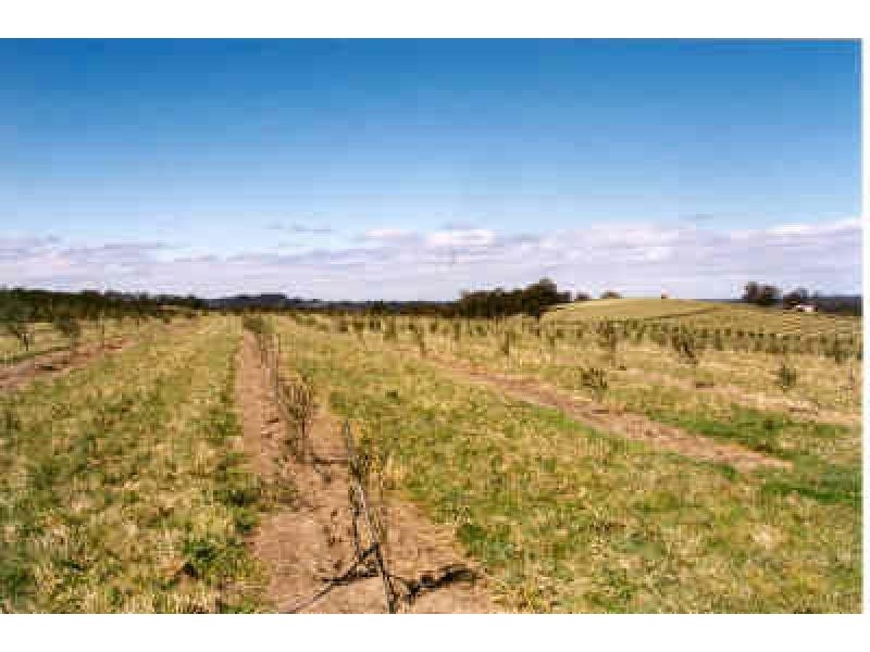 Exeter NSW 2579