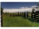 Sutton Forest NSW 2577