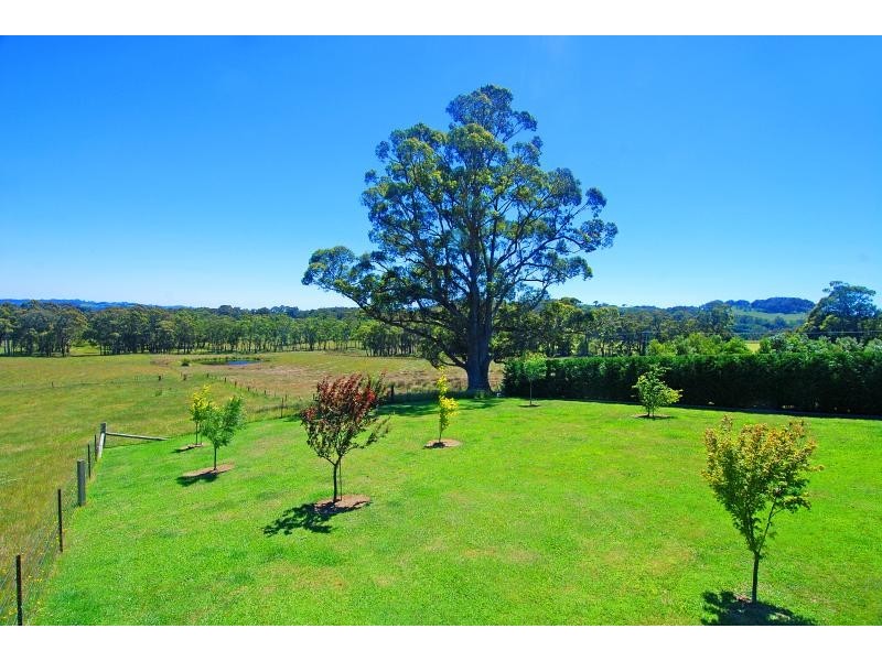 Avoca NSW 2577