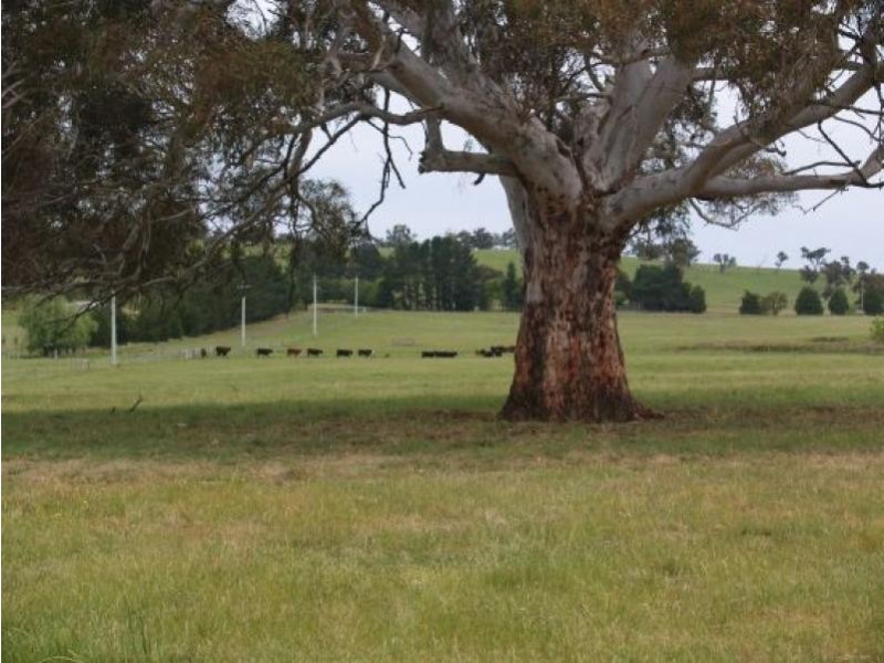 Sutton Forest NSW 2577