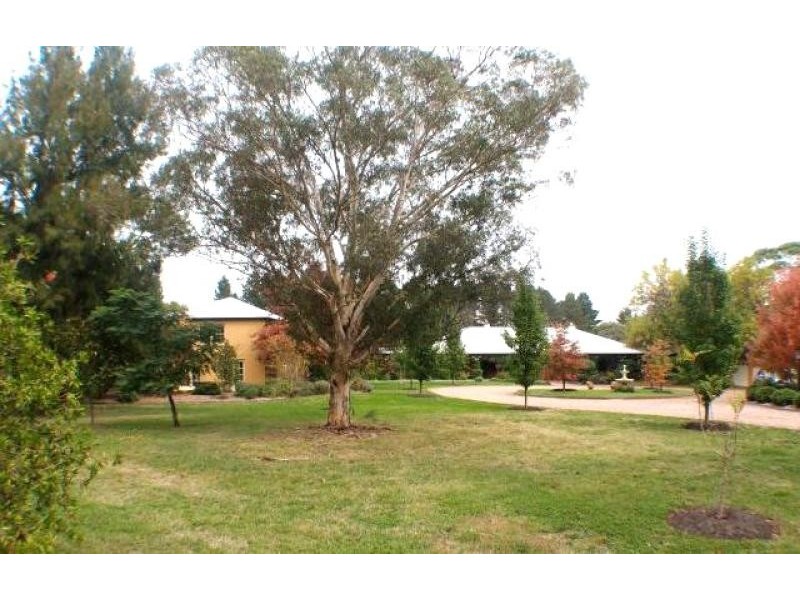Paddys River NSW 2577