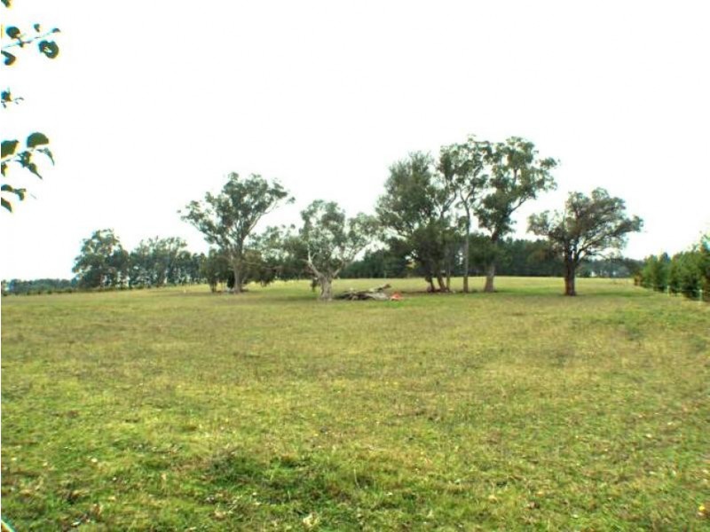 Paddys River NSW 2577