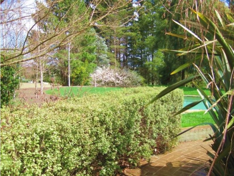 Paddys River NSW 2577