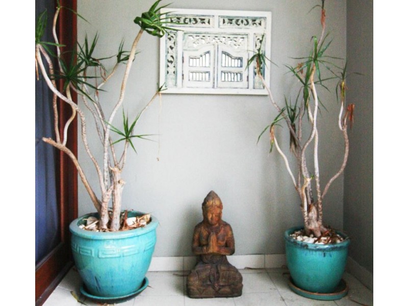 21-23 Fletcher Street, Byron Bay NSW 2481