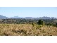 LOT 2 MCINNES LANE, Tyagarah NSW 2481
