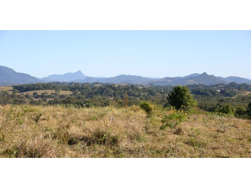 LOT 2 MCINNES LANE, Tyagarah NSW 2481
