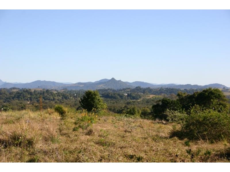 LOT 2 MCINNES LANE, Tyagarah NSW 2481