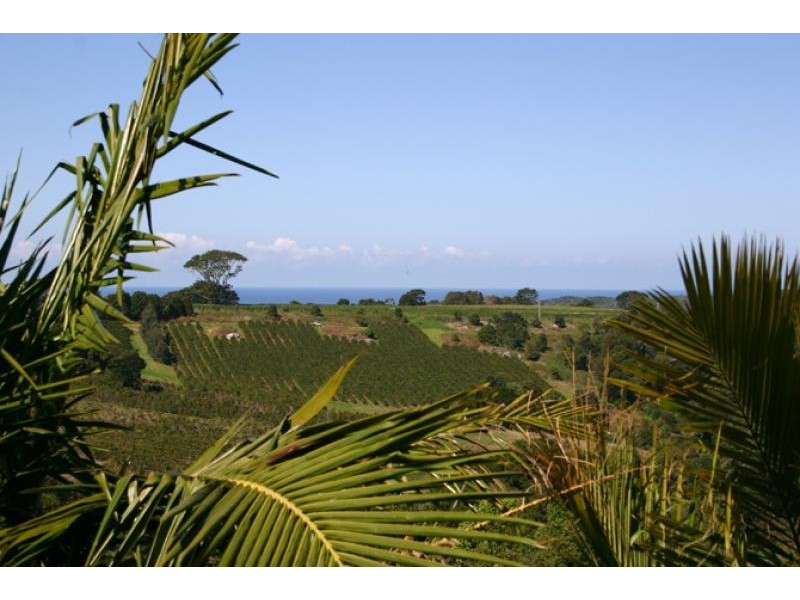 153 COOPERS SHOOT ROAD, Coopers Shoot NSW 2479