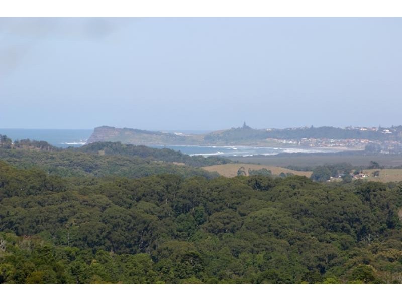 153 COOPERS SHOOT ROAD, Coopers Shoot NSW 2479