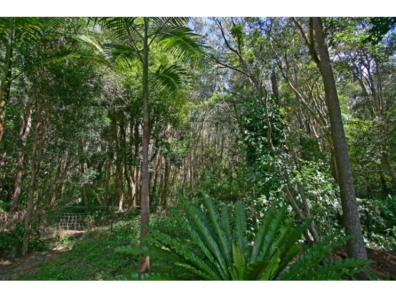 56A BANGALOW ROAD, Byron Bay NSW 2481