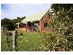 684 BANGALOW ROAD, Talofa NSW 2481
