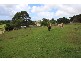 684 BANGALOW ROAD, Talofa NSW 2481