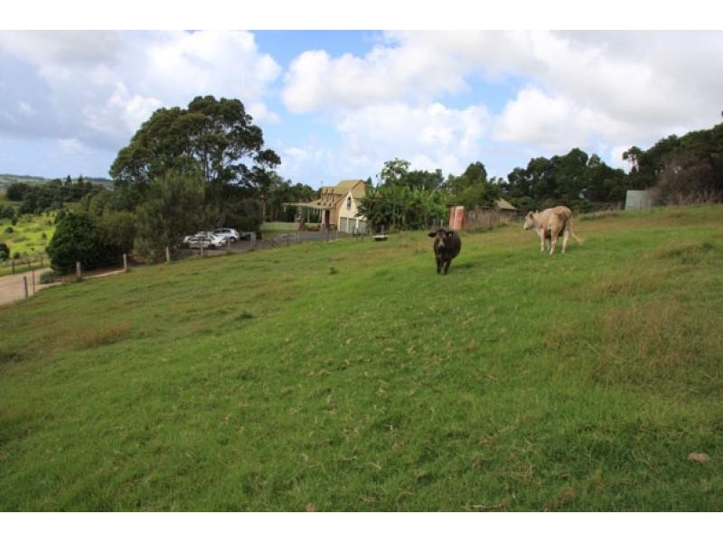 684 BANGALOW ROAD, Talofa NSW 2481