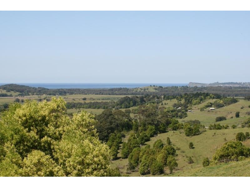 119 Piccadilly Hill Road, Coopers Shoot NSW 2479