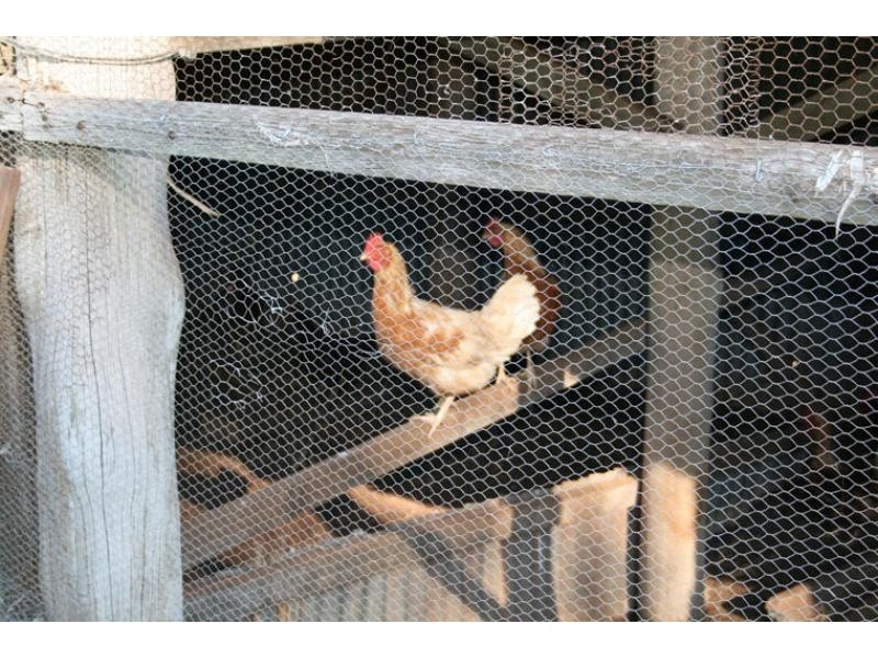 30 St Helena Road, Bangalow NSW 2479