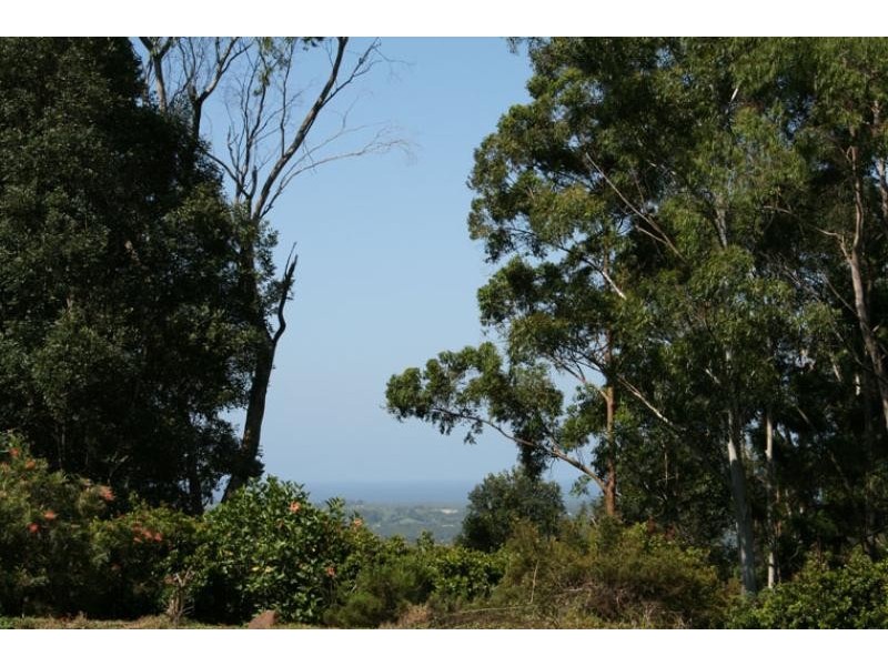 991 Coolamon Scenic Drive, Coorabell NSW 2479