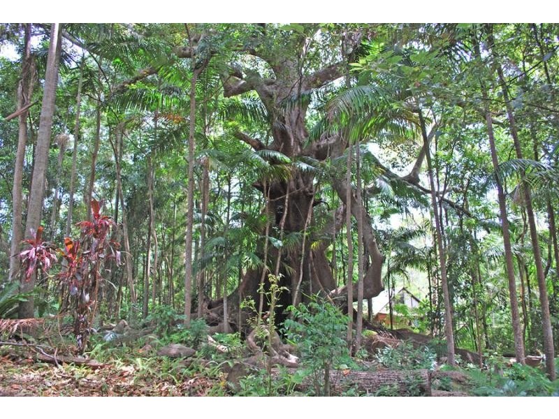 166 McGettigans Lane, Ewingsdale NSW 2481